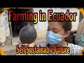 The Farm in Ecuador - High Elevation Tropical Farming and Our Self Sufficient Future