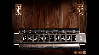 Cowpoke tut. Game name is Harmonica real screenshot 3