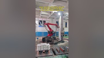 Palletizing robot #factory #machine #automobile #factory #robot #borunte #palletizing
