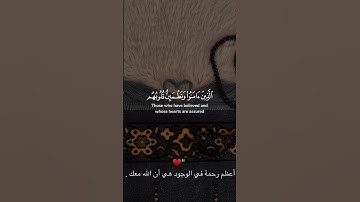 اللهم صل وسلم وبارك على سيدنا محمد #تلاوة_خاشعة #اكسبلور #طمأنينة #قرآن #راحة_نفسية #قران_كريم #لايك