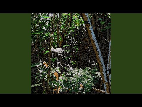 Merope — Leliumoj (with Indrė Jurgelevičiūtė, Bert Cools, Jean-Christophe Bonnafous & Jauna Muzika...