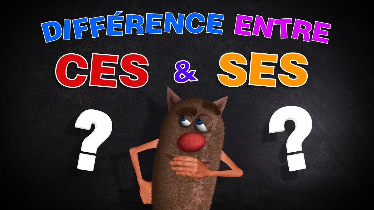 Foufou Diff rence Entre CES Et SES Pour Les Enfants Difference foufou-diff-rence-entre-ces-et-ses-pour-les-enfants-difference