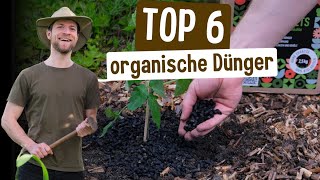 🌱 TOP 6 Dünger für den Garten 2024