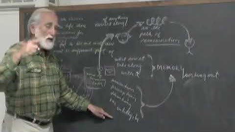 2009-02-27 NSFRI - Plotinus - Enneads - 4.3.25-32 - Doubts relative to the Soul 4