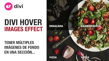 Divi Hover – Cambiar la imagen de fondo de una sección al pasar el cursor sobre una columna.