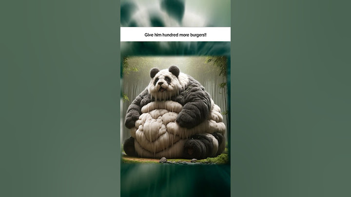🐼✨ From Gentle to Giant: The Panda's Remarkable Transformation Journey! 🌱💪