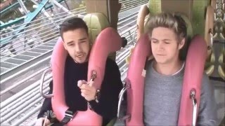 Niall Is The Most Clever In One Direction || Roller-Coaster Interview Profile
