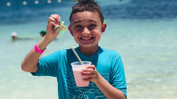 Vaca 2019