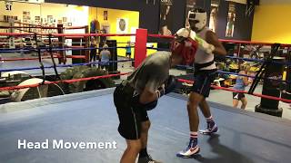 How to Box against Taller Fighters by coach Eric Bradely screenshot 1