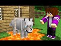 КТО ЗАТРОЛЛИЛ МОЮ СОБАКУ В МАЙНКРАФТ 100% троллинг ловушка minecraft