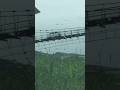 Suzuki bolan carry dabba every on steel narrow suspension bridge #speedbridge #steelbridge