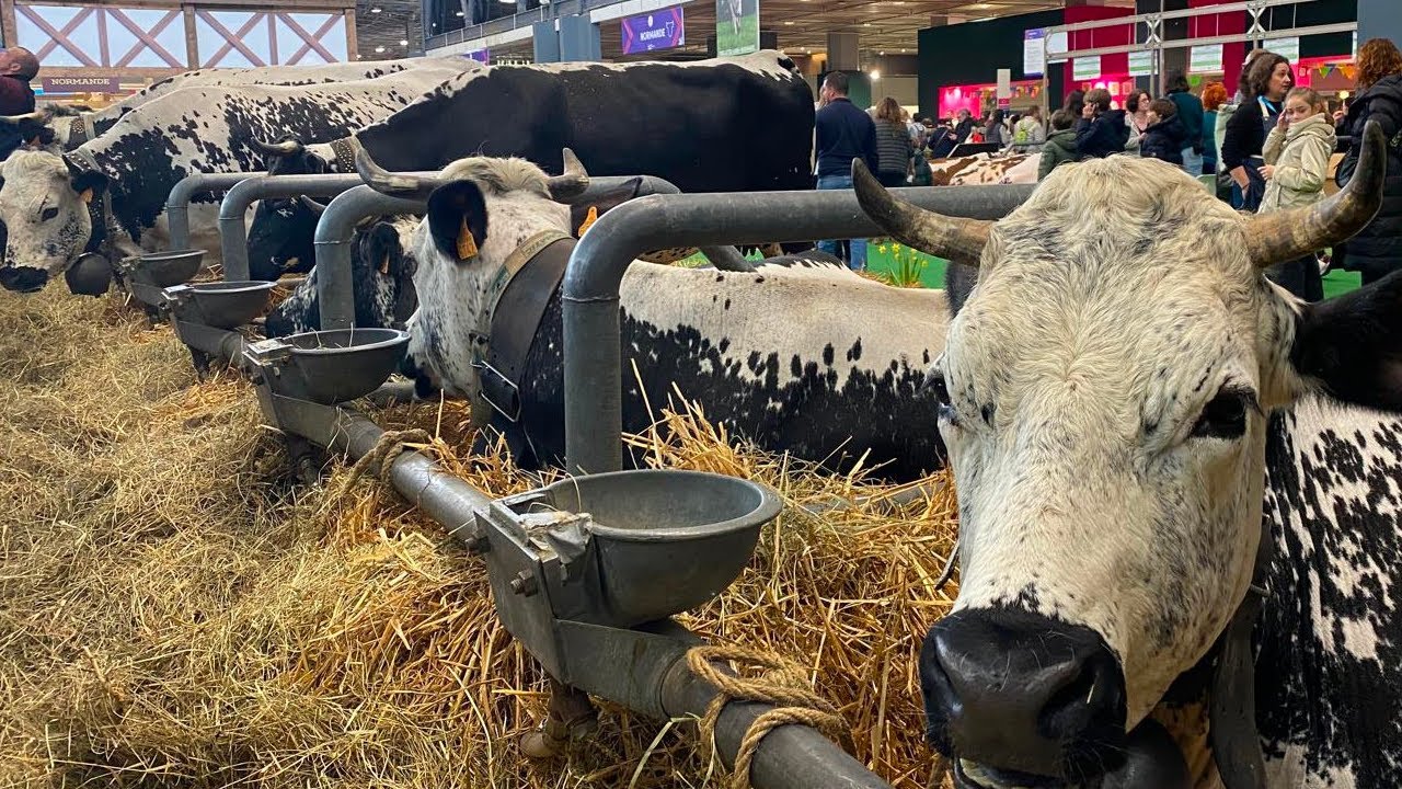 Salon de l'agriculture 2026 : "C'est une décision qui est historique"