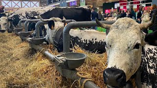 Salon De Lagriculture 2026  Cest Une Dcision Qui Est Historique