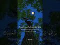 حالات واتس قرآنية (الشيخ مشاري راشد العفاسي) ❤️🍃✨