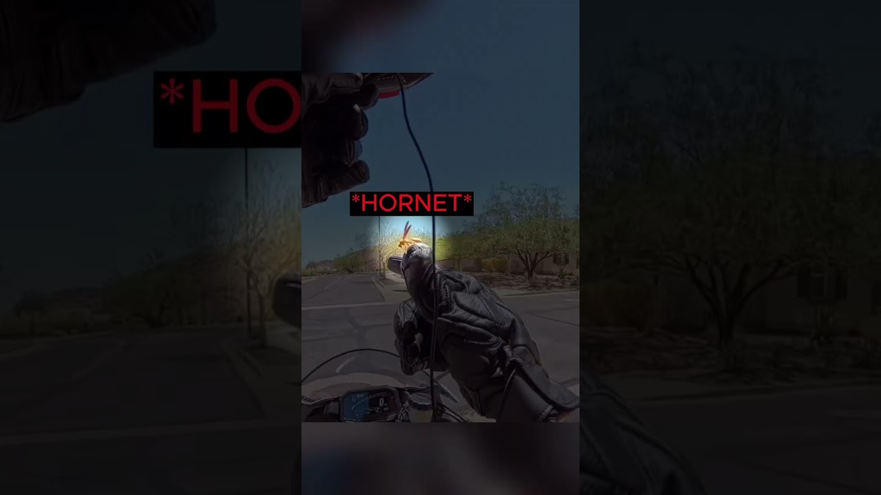 Biker Makes the Most Unexpected Friend…