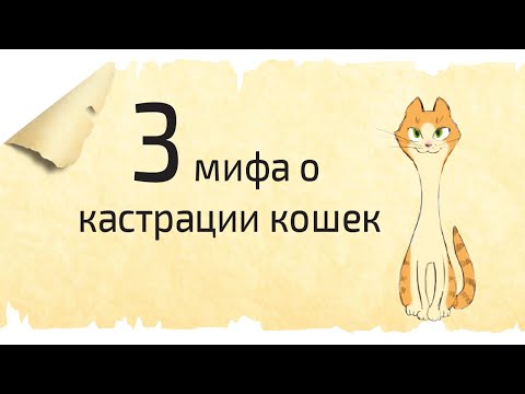 Видео: Рекордные мифы о стерилизации и кастрации