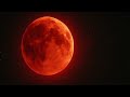 ♪ Bloody Moon🌓