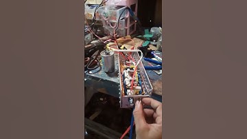 máy kích cá da trơn 20₫_30₫.lh 0977613934.