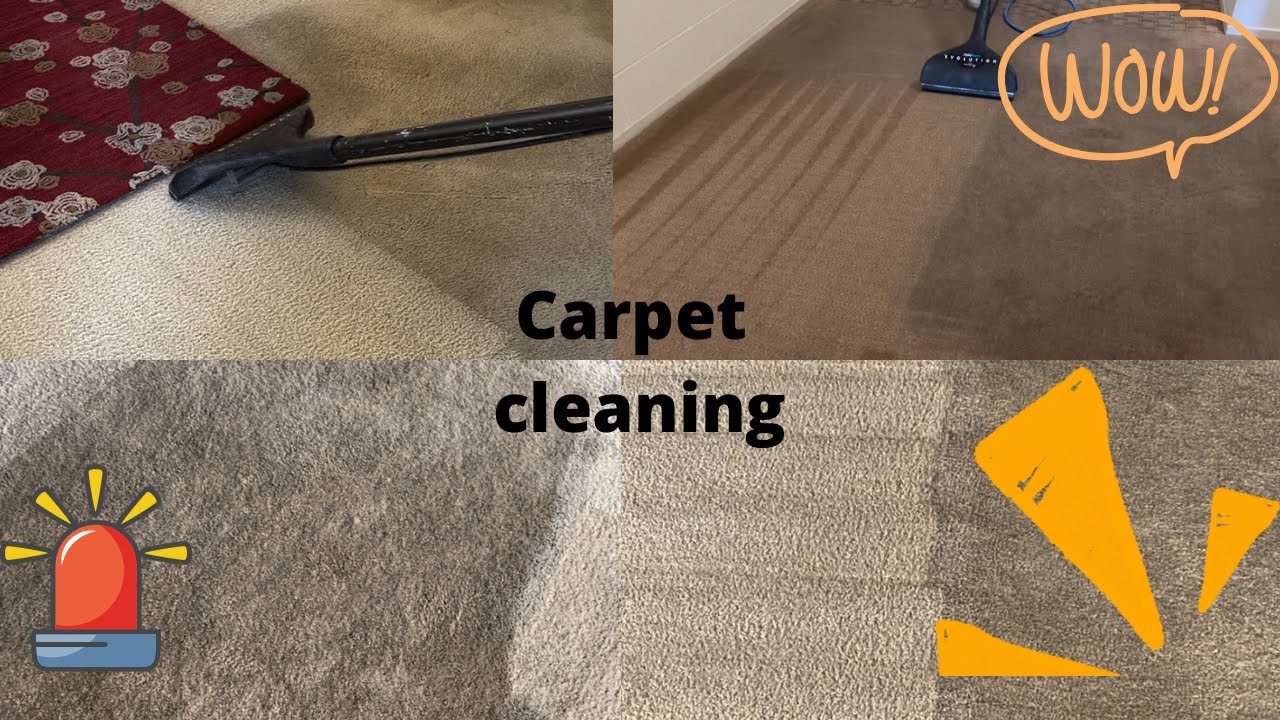 carpet cleaning the best carpet cleaning/H&G Cleaners YouTube