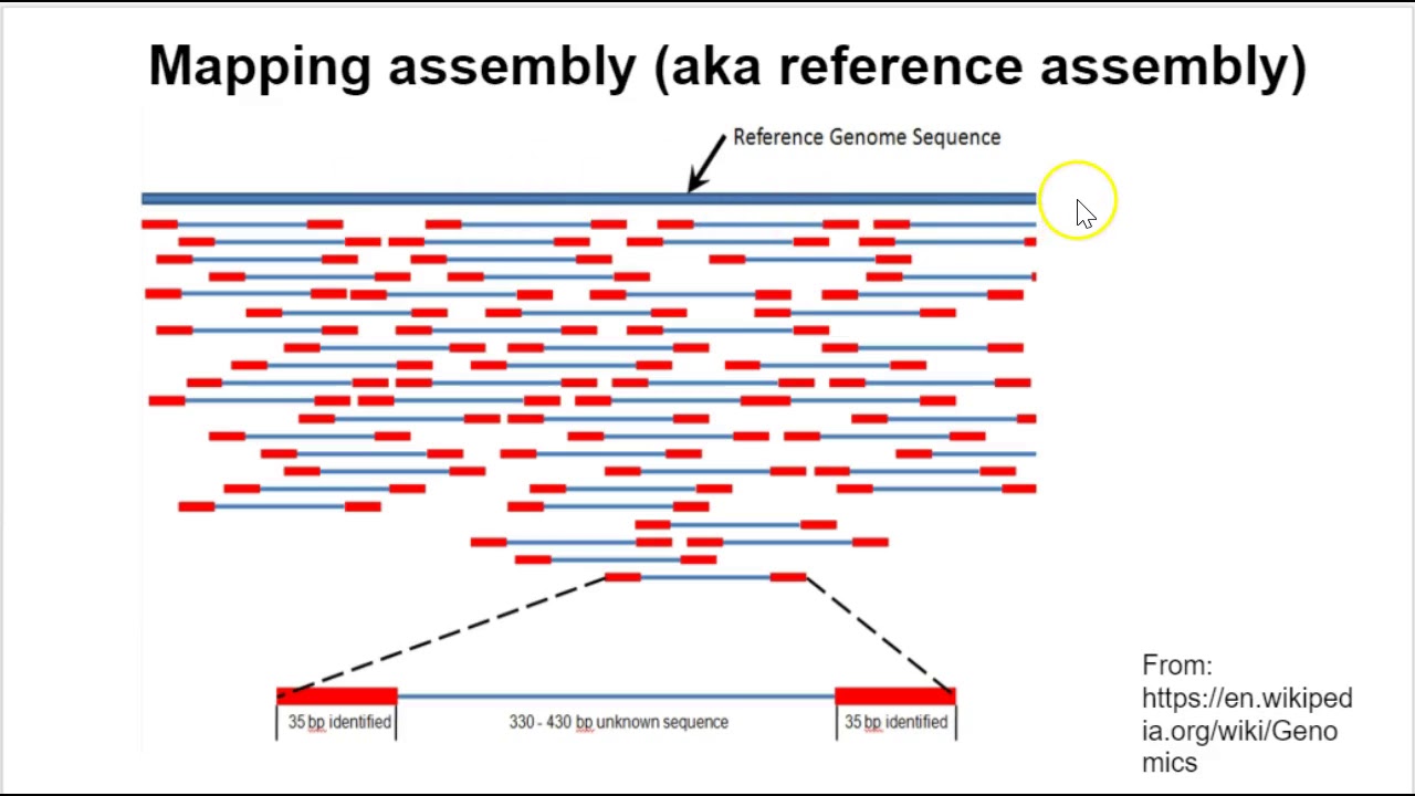 Genome Assembly Overview Part 1 YouTube