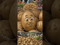 potato story