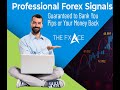 Best Forex Signals  Weekly Performance Summary +420 Pips ...
