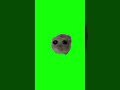 Sad Hamster Cotton Eye Joe | Green Screen