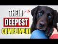 9 Deepest Compliments a Dog Can Give You #2 Is Surprising!