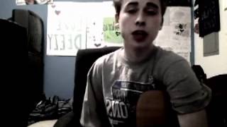 Brad Paisley - She's Everything (Dylan Holland Cover)