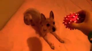 CAM00136