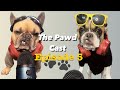 The pawdcast episode 5
