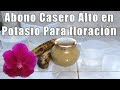 Abono casero alto en potasio para floracin de orqudeas  orquiplanet