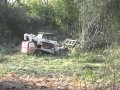 Bamboo Removal By Fairfax County Park Authority