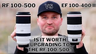 Canon RF 100-500 vs EF 100-400 II | Is it WORTH UPGRADING to the RF 100-500? Bird Photography Review