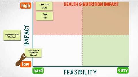 Choosing the Small Doable Action:  Setting Priorities