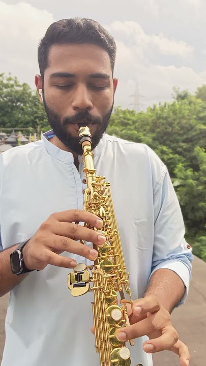 Anjali Anjali pushpanjali | saxophone | Flute Ashish. #arrahman #spb #duet #saxophone