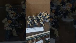 Warhammer 40k Primaris Intercessors: 10 for $50 28mm scale spotted in Michigan