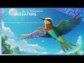 Beeeaters  epic orchestral music by joy of resonance