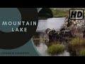 Relaxing Waves Nature Sounds - Mountain Lake - HD 1 Hour Birdsong Version - Peaceful Series Ep.1