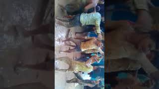 Malekar Parivar Gram Aatra