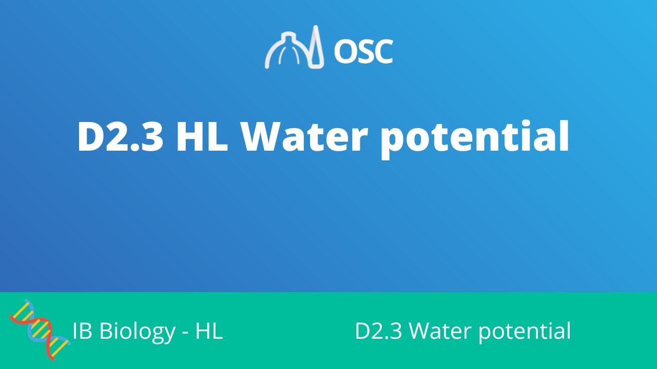 ⁣D2.3 HL Water Potential [IB Biology HL]