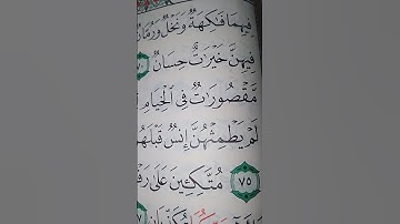 ما معنى "فيهن خيرات حسان"#سورة #الرحمن