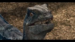 Jurassic world [HD 1080p] | Raptor training scene movie clips (2015)