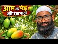 सुखी फसल को पानी दे दिया/khaet me pani chalaya 😍आम ka mosam aam 🥭🥭💯👌today my best 👌💯#blogermolvi 