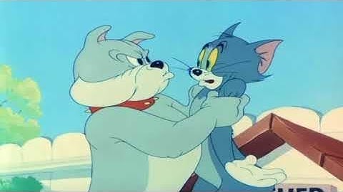 Tom and Jerry Episode 44   Love that Pup Part 2