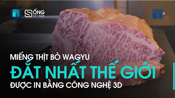 Bảng đánh giá thịt bò nhật bản năm 2024