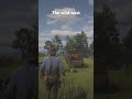 Rdr2 the wild wild west