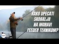 Feeder ribolov skobalja na Moravi - UŽIVO SA VODE