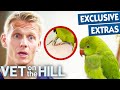 Bird&#39;s Leg Has Been Broken In Half  😞 Vet On The Hill Extended | Bondi Vet Full Episode