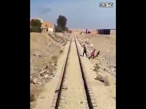شاهد أطفال يرشقون القطار بالحجارة في بلدية بئر العاتر بتبسة